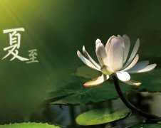 夏至節(jié)氣，廣西強壽藥業(yè)集團(tuán)提醒您注意防暑降溫